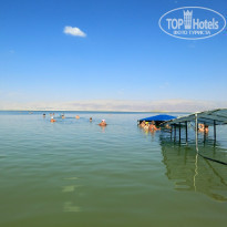 фото из отзыва ID 934449