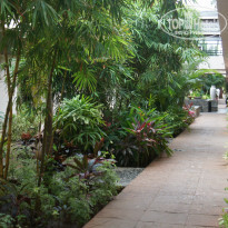 фото из отзыва ID 934563