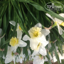 фото из отзыва ID 935034