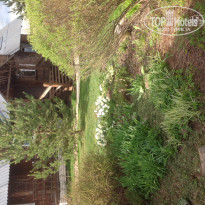 фото из отзыва ID 935034