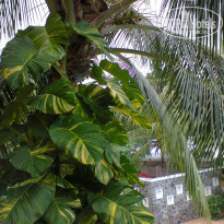 фото из отзыва ID 935097