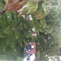 фото из отзыва ID 935155