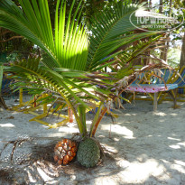 фото из отзыва ID 935197