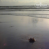 фото из отзыва ID 935197