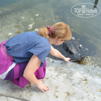 фото из отзыва ID 935243