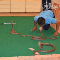 фото из отзыва ID 935243