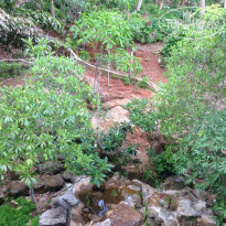 фото из отзыва ID 935314