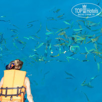 фото из отзыва ID 935486