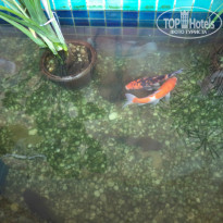 фото из отзыва ID 935527