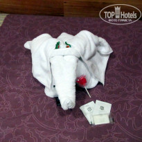 фото из отзыва ID 935605