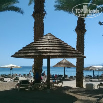 фото из отзыва ID 935612