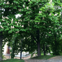 фото из отзыва ID 935794