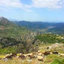 фото из отзыва ID 936230