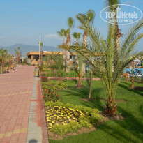 фото из отзыва ID 936358