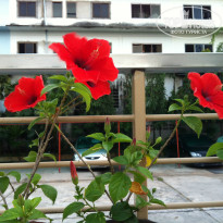 фото из отзыва ID 936533