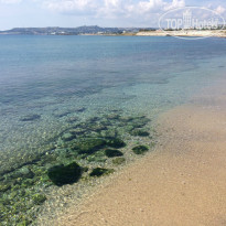 фото из отзыва ID 936665