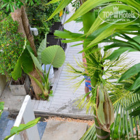 фото из отзыва ID 936743