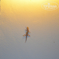 фото из отзыва ID 936743