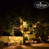 фото из отзыва ID 936743