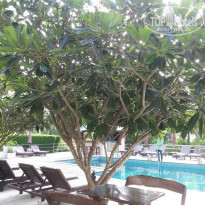 фото из отзыва ID 936743