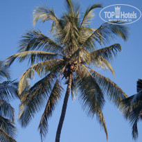 фото из отзыва ID 936748