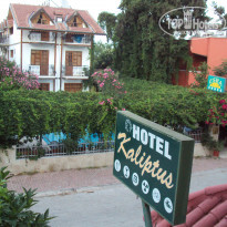 фото из отзыва ID 936839