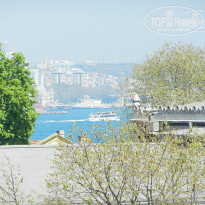 фото из отзыва ID 936984