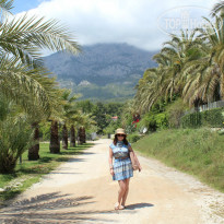 фото из отзыва ID 936157