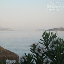 фото из отзыва ID 93715