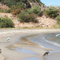 фото из отзыва ID 937002