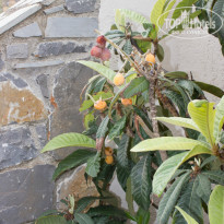 фото из отзыва ID 937002