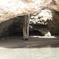 фото из отзыва ID 937002