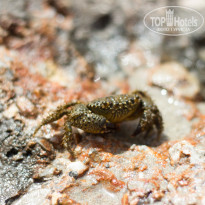 фото из отзыва ID 937002