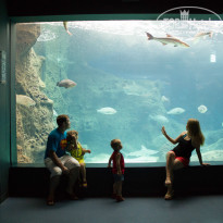 фото из отзыва ID 937002