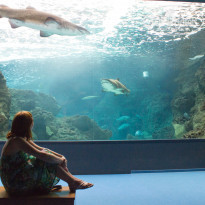 фото из отзыва ID 937002