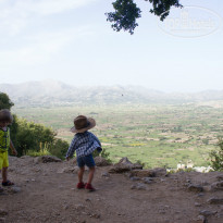 фото из отзыва ID 937002