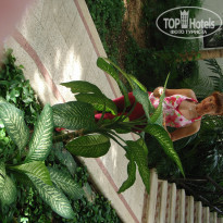 фото из отзыва ID 937418