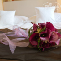 фото из отзыва ID 937516