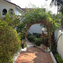 фото из отзыва ID 937616