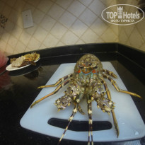 фото из отзыва ID 937789