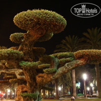 фото из отзыва ID 937864