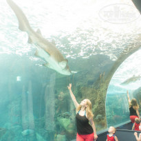 фото из отзыва ID 937002