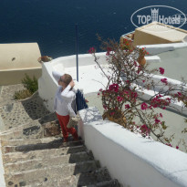 фото из отзыва ID 937302