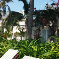 фото из отзыва ID 937841