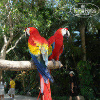 фото из отзыва ID 938130