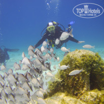 фото из отзыва ID 938130