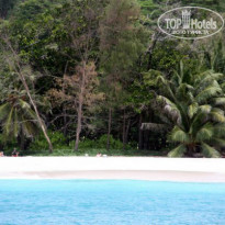 фото из отзыва ID 938232