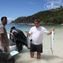 фото из отзыва ID 938232