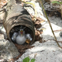 фото из отзыва ID 938232