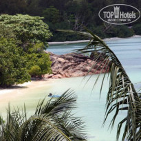 фото из отзыва ID 938232